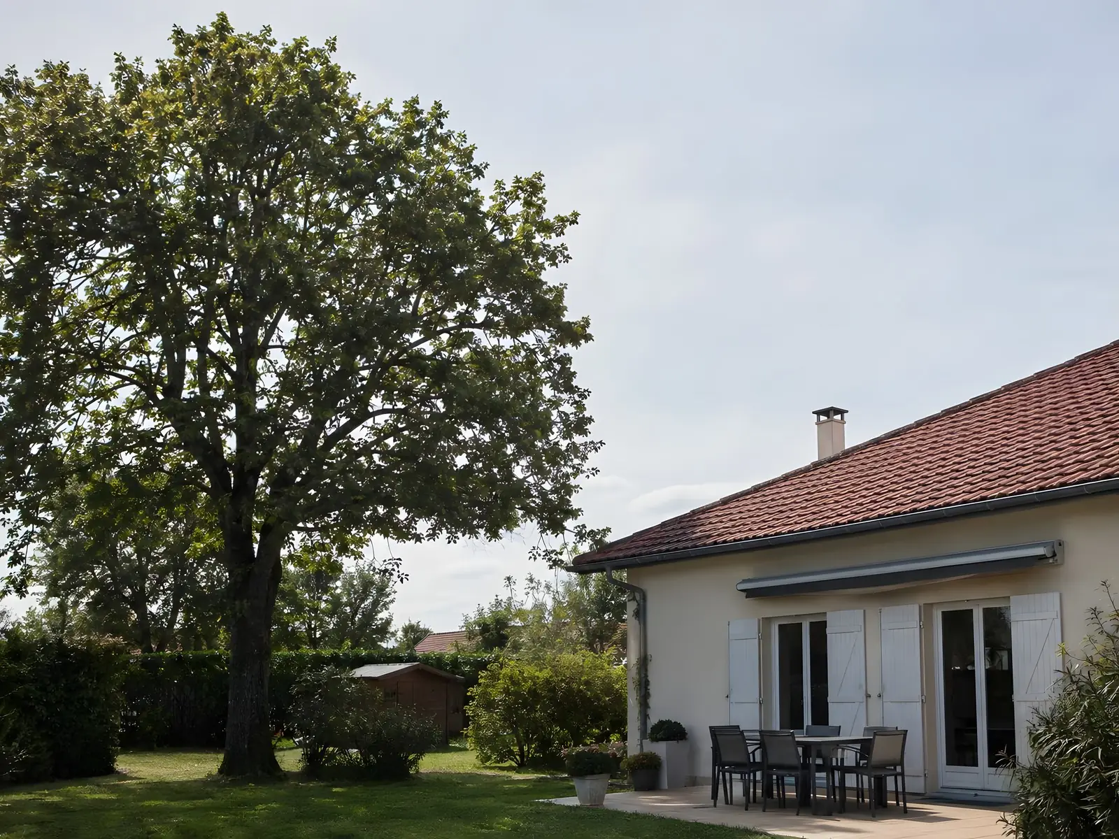 Le même arbre au houppier allégé et éclairci, ses branches dégagées du toit de la maison et de la terrasse