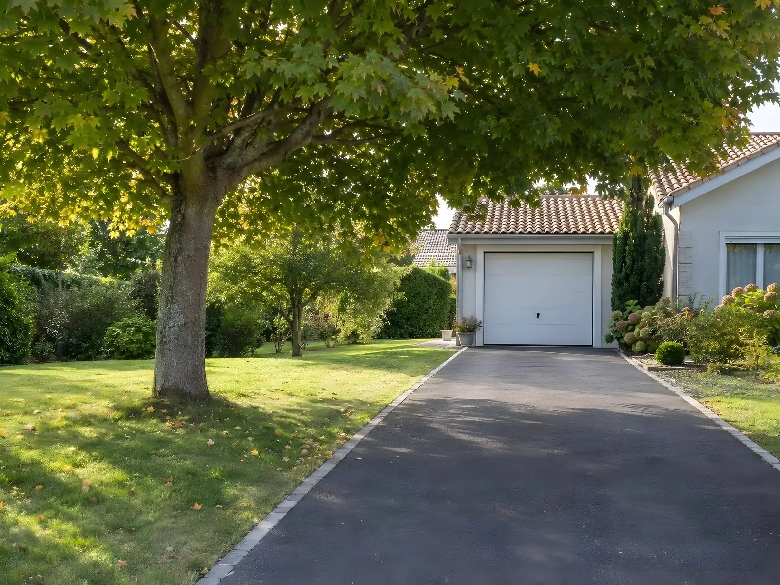 La même allée sous un érable à la ramure relevée, toit de tuiles du garage dégagé