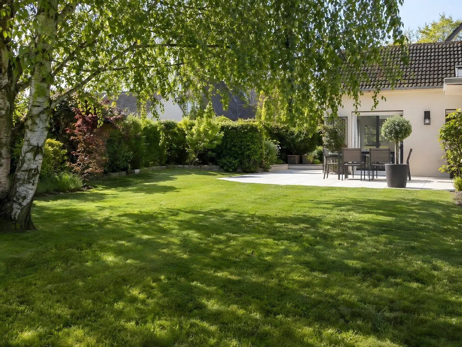 La même pelouse, dense et d’un vert franc, fraîchement tondue sous le bouleau, terrasse dallée au fond