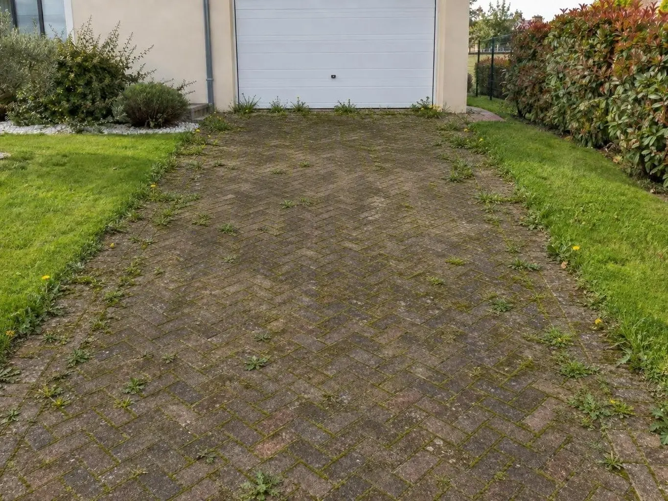 Allée de pavés en chevrons, ternis et noircis, devant une porte de garage blanche, mousse et herbe dans les joints