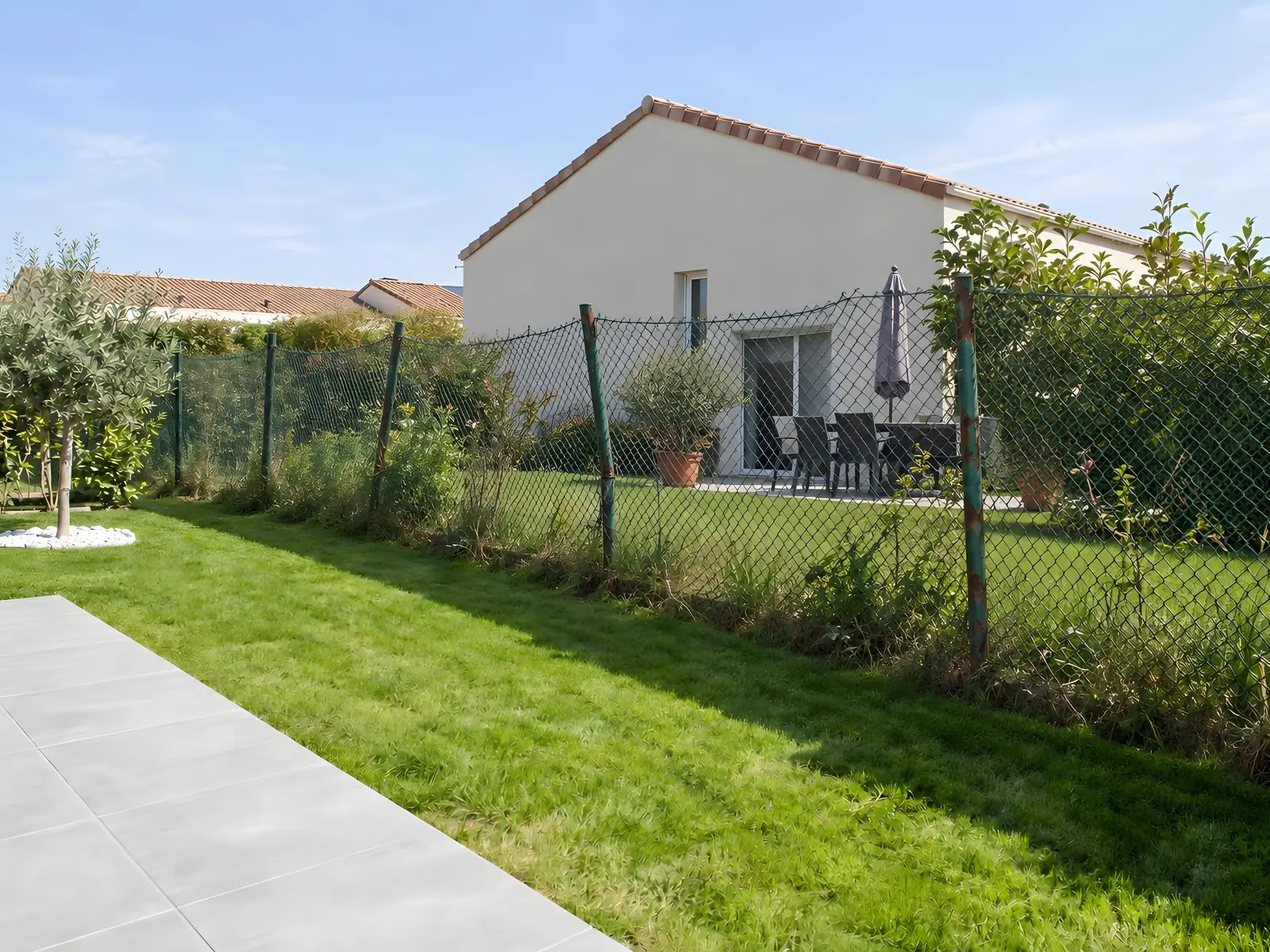 Vieux grillage souple vert affaissé sur des poteaux tordus, envahi d’herbes hautes, entre une pelouse et le jardin voisin
